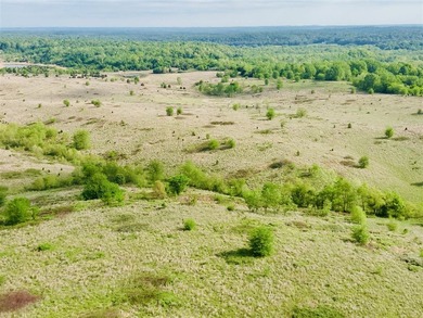1,000 Acres | Premier Recreational & Investment Tract - photo 31
