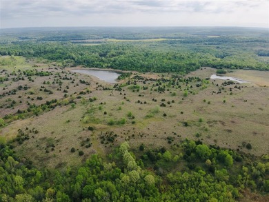 1,000 Acres | Premier Recreational & Investment Tract - photo 36