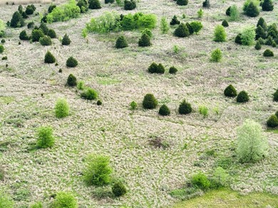 1,000 Acres | Premier Recreational & Investment Tract - photo 37