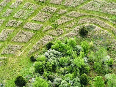 1,000 Acres | Premier Recreational & Investment Tract - photo 41