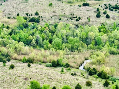1,000 Acres | Premier Recreational & Investment Tract - photo 44