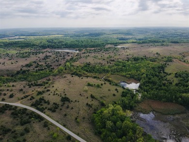 1,000 Acres | Premier Recreational & Investment Tract - photo 45