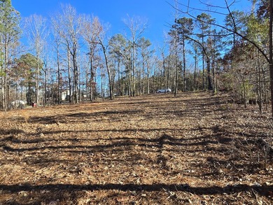 Owner will consider Financing Waterfront lot in cove - qualifies - photo 46