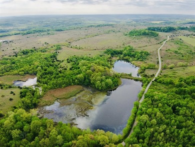 1,000 Acres | Premier Recreational & Investment Tract - photo 46