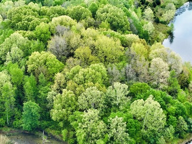 1,000 Acres | Premier Recreational & Investment Tract - photo 47
