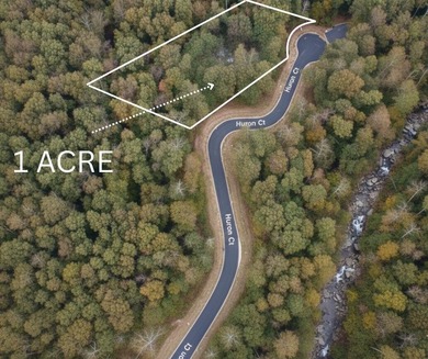 Coosawattee River - Gilmer County Lot For Sale in Ellijay Georgia