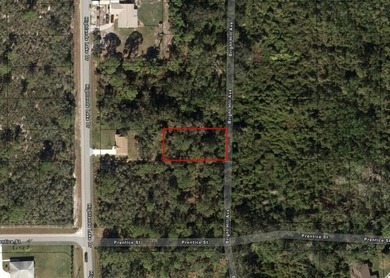 Owner Financing on this buildable lot in Lake Placid. Quiet - photo 1