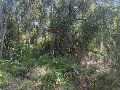 Owner Financing on this buildable lot in Lake Placid. Quiet - photo 3