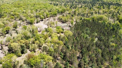 Lake Michigan - Manistee County Acreage For Sale in Manistee Michigan