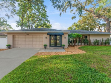 Lake Home For Sale in Tampa, Florida