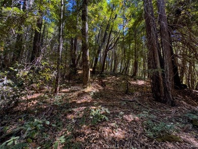 Towering redwoods and pines, lush ferns, and the soft trickling - photo 4