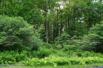 Lake Lot For Sale in Pocono Lake, Pennsylvania