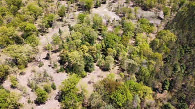 Lake Michigan - Manistee County Acreage For Sale in Manistee Michigan