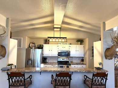 LAKETIME IS HERE! Own your home at beautiful Greers Ferry Lake! - photo 10