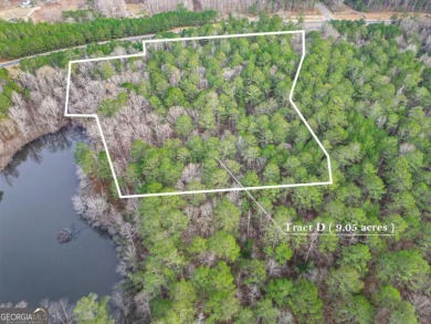 Lake Acreage For Sale in Franklin, Georgia