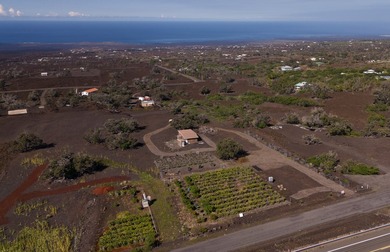 Owner Financing! Island Home with Established Dragon Fruit Farm - photo 15
