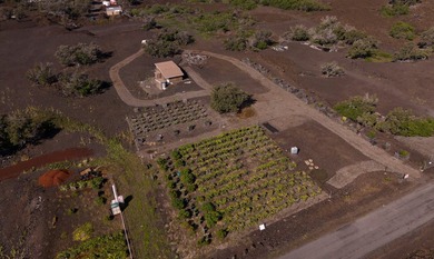 Owner Financing! Island Home with Established Dragon Fruit Farm - photo 22
