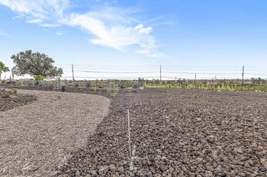 Owner Financing! Island Home with Established Dragon Fruit Farm - photo 30