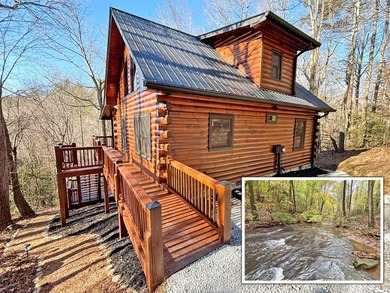 Lake Home For Sale in Ellijay, Georgia