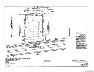 High Traffic Location with Great Visibility on .32 Acre Lot - photo 2