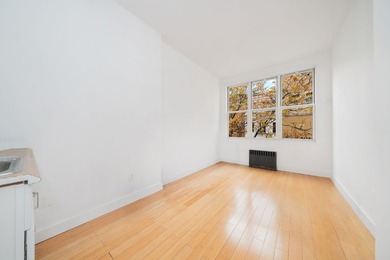 336 West 19th St 1 - photo 8