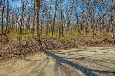 Unique opportunity to build your own custom dream home on 1.15 - photo 4