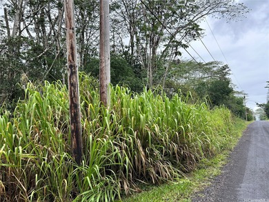 Previously surveyed with documents available. Lava Zone 3. SSPP - photo 3