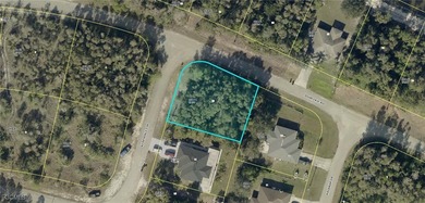 Lehigh Acres Area Lot For Sale in Lehigh Acres Florida