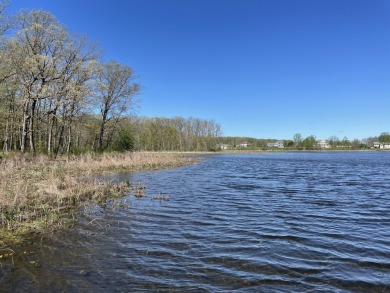 Portage Lake - Kalamazoo County Acreage For Sale in Galesburg Michigan