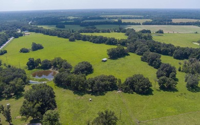 (private lake, pond, creek) Acreage For Sale in Jasper Florida