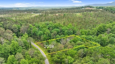 Lake Lot For Sale in Ellijay, Georgia