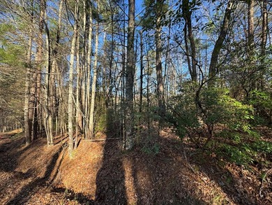Lake Lot For Sale in Ellijay, Georgia
