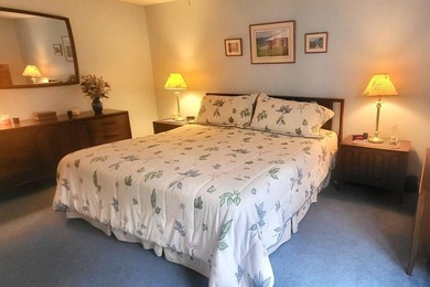 Almost 1900 sq' with 4 bedrooms (2 on the first floor) and 3 - photo 18