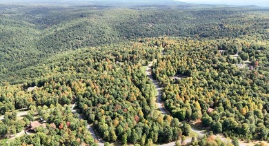 Customizable Build-to-suit 3-Acre Homesite in Greenfields West - photo 29