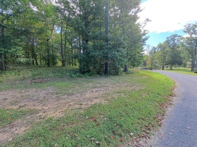 Customizable Build-to-suit 3-Acre Homesite in Greenfields West - photo 30