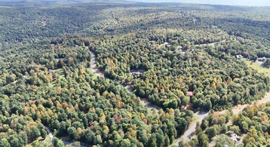 Customizable Build-to-suit 3-Acre Homesite in Greenfields West - photo 31
