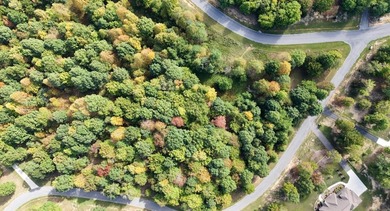 Customizable Build-to-suit 3-Acre Homesite in Greenfields West - photo 36