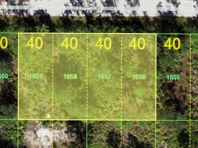 This parcel is 4 lots combined. (16000 sq ft/.37 of an acre) - photo 1
