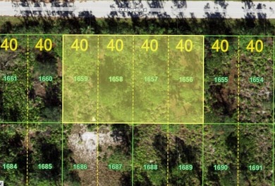 This parcel is 4 lots combined. (16000 sq ft/.37 of an acre) - photo 10
