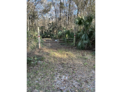 Withlacoochee River - Citrus County Acreage For Sale in Inverness Florida
