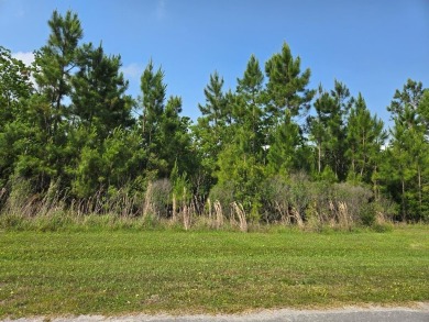 Lake Lot For Sale in Wewahitchka, Florida