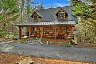 Ellijay River Home For Sale in Cherry Log Georgia