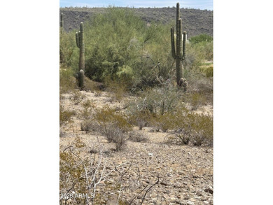 Presenting a rare opportunity to acquire a premier golf course - photo 5