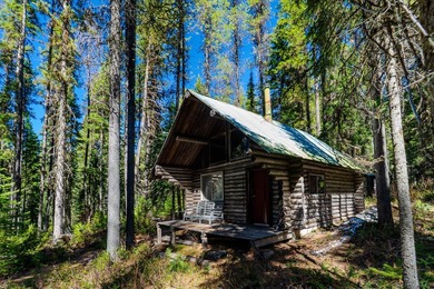 Nestled in the heart of Montana's unspoiled wilderness, this - photo 12