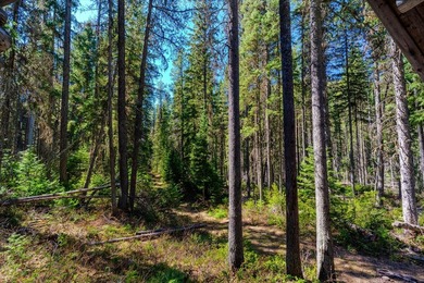 Nestled in the heart of Montana's unspoiled wilderness, this - photo 15