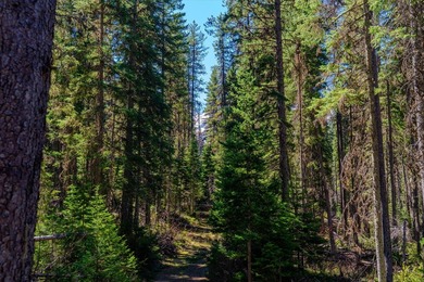 Nestled in the heart of Montana's unspoiled wilderness, this - photo 16