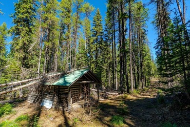 Nestled in the heart of Montana's unspoiled wilderness, this - photo 18