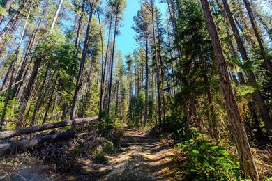 Nestled in the heart of Montana's unspoiled wilderness, this - photo 22