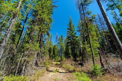 Nestled in the heart of Montana's unspoiled wilderness, this - photo 23