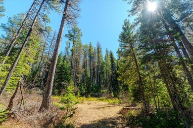 Nestled in the heart of Montana's unspoiled wilderness, this - photo 24